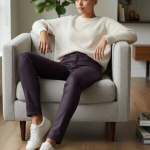 NWOT AG Farrah Skinny Ankle Coated Jeans 27R Portobello Leather Look High Rise